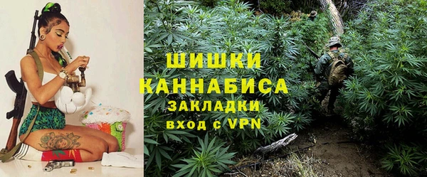 прущий лед Рославль